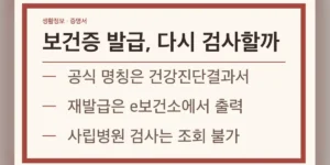 2026 보건증 발급방법, 내 상황별 처리 경로