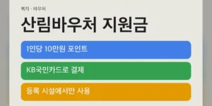 산림바우처 지원금 핵심 조건 한눈에 보기