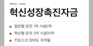 혁신성장촉진자금, 사례 배경 — 청년 대표의 치킨집