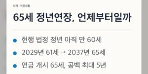 65세 정년연장 입법, 현행법·추진안·예상 일정 구분