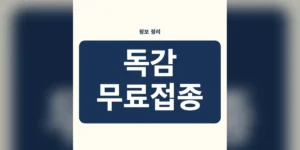 2026-2027 독감 무료접종 대상 확대 및 시작일 완벽 요약 독감 무료접종 지역별 지원, 가장 중요한 연령별·출생연도별 접종 시작일