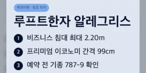 루프트한자 알레그리스 한국 노선 요약