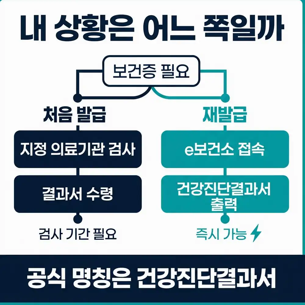 2026 보건증 발급방법 온라인 재발급 가능 조건 체크리스트