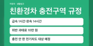 친환경차 충전구역 규정, 이용 대상