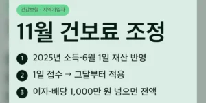 지역가입자 건강보험료 11월 조정 대상인지 1분 확인