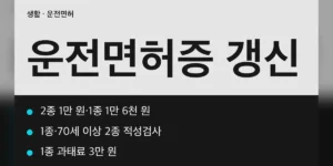운전면허증 갱신 기간과 주기