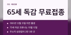 65세 독감 무료접종 출생연도별 일정