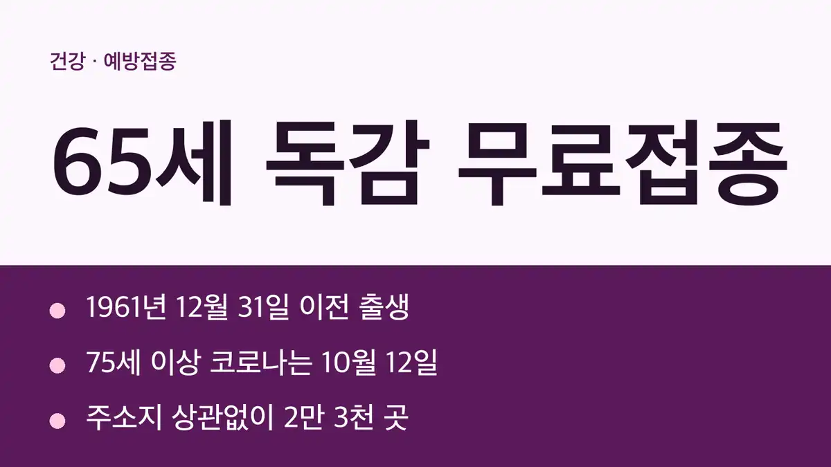 65세 독감 무료접종 출생연도별 일정