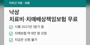 낙상 치료비 치매배상책임보험 무료, 두 사업은 이렇게 다릅니다