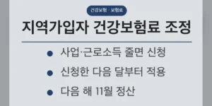 지역가입자 건강보험료 조정 전에, 11월에 소득·재산이 갱신된다는 점부터 보세요