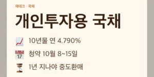 개인투자용 국채 10월 발행계획