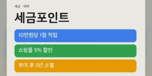 세금포인트 적립 기준과 소멸