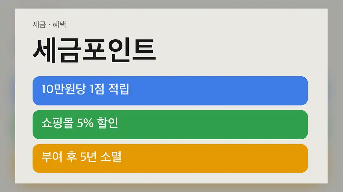 세금포인트 적립 기준과 소멸