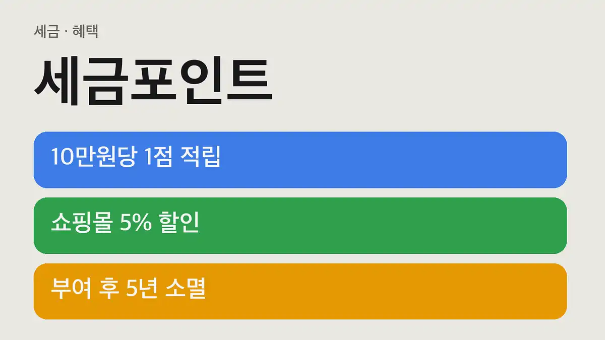 세금포인트 적립 기준과 소멸