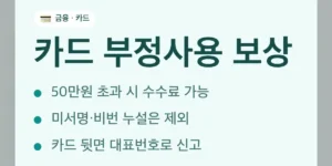 카드 부정사용 보상 받으려면 이 순서로 신고