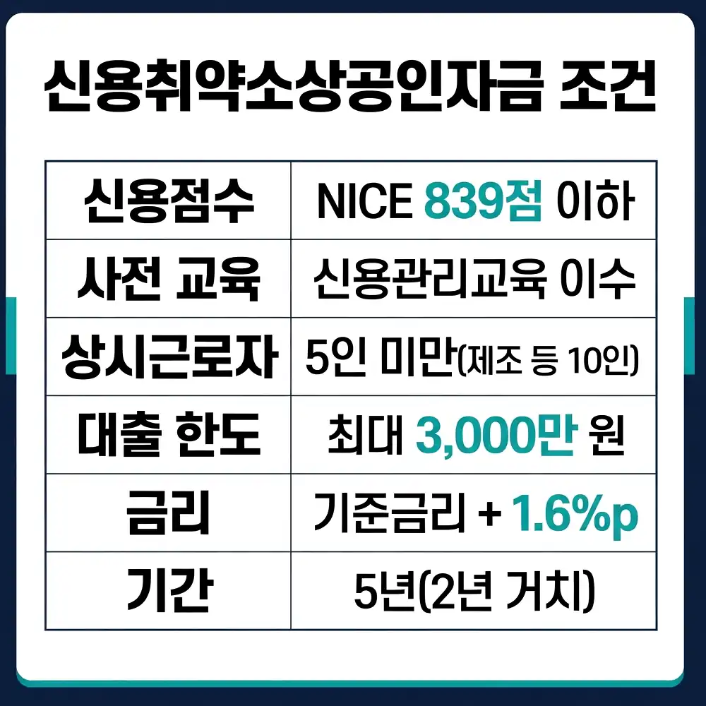 신용취약소상공인자금 신청자격 신청 제외 대상